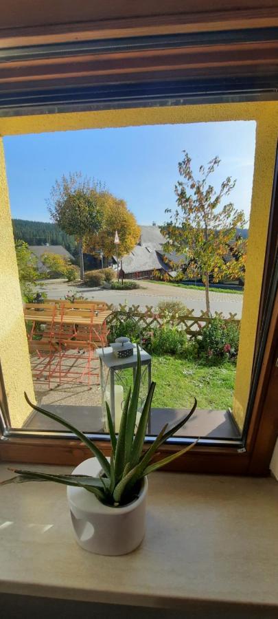 Ferienwohnung Seelust Schluchsee Exterior photo